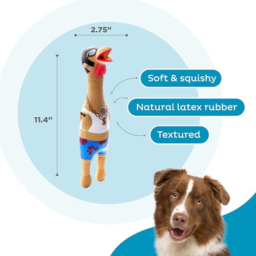 Outward Hound by Charming Pet Squawkers Earl Latex Squeaky Rubber Chicken Dog Toy, Funny Interactive Holiday Toy for Dogs, Large Size - color: Earl, size: Large