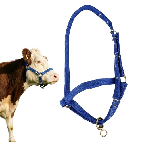 Newborn Calf Halter (110-330 lbs) | 4-Layer Reinforced Canvas Adjustable Livestock Lead Rope | Heavy-Duty Training Halter for Weaning Calves, Miniature Cows, Foals & Goats (Blue)