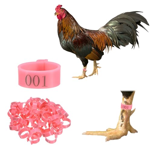 M METERXITY 50-Pack Chicken Leg Bands, 20 mm Plastic Poultry Identification Chicken Leg Rings for Turkey/Duck/Goose/Chicks, Colorful Numbered Foot Clip on Tags [Pink] - color: Pink, size: 20 mm