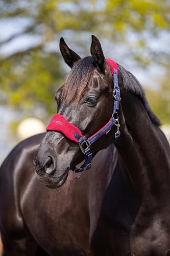 LeMieux Vogue Fleece Headcollar - Halter & Leadrope - Extra Padding, Adjustable at Curb and Poll Strap - color: Burgundy / Navy, size: x-full