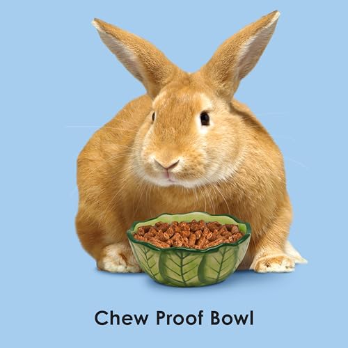 Kaytee Vege-T-Bowl Cabbage 6 inches, Green - size: 6 inches, style: Cabbage