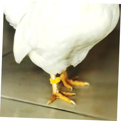 100Pcs Adjustable Chicken Leg Bands Open-Style Clips for Poultry Identification Colorful Marking Rings for Ducks Geese and Gamefowl Color