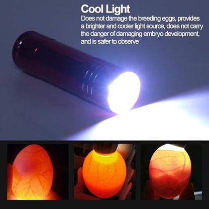 Egg Tester, LED Cool Light Candler Lamp, Metal and Plastic Material, Detachable Cone Spot Light, Suitable for Bird Duck Goose Quail Eggs, Delivered Without Battery (Blue) - color: Blue