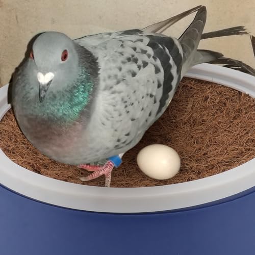 POPETPOP Pigeon Nest Bowl 4 Pack Plastic Nesting Pot with Mats | Plastic nest bowls, breathable mats, breeding use, pigeon bird care, replacement set, check bowl size before purchase