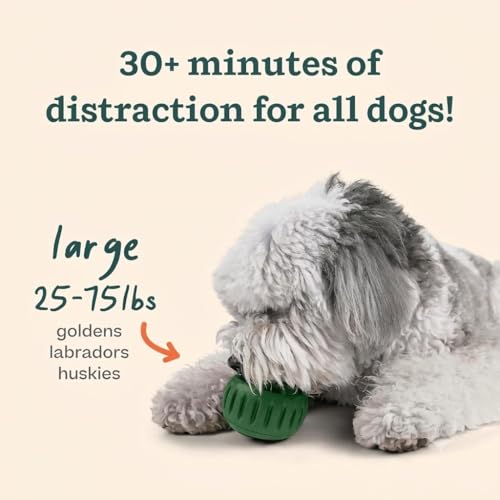 WOOF Starter Pack - Interactive Dog Ball Toy for Boredom - Dog Treat Molds Silicone - Chicken-Flavored Healthy Treats for Dogs - Pupsicle Doggy Enrichment Toy - for Large Pups - 25-75 lbs