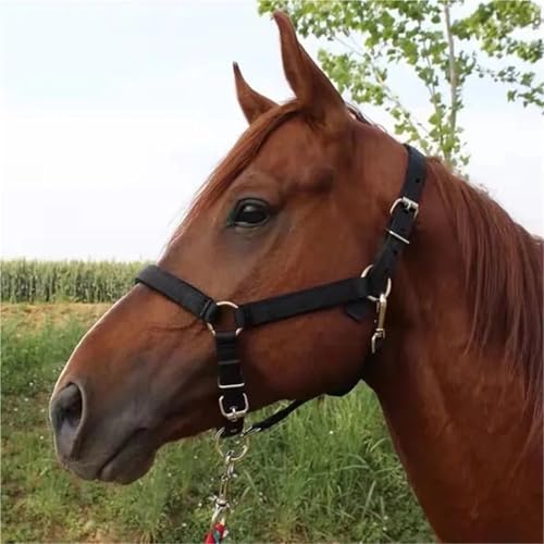 Cattle Halter Horse Equitation Padded Halter Bridle Comfortable Firm and Deformable Rein Equestrian Adjustable Head(Red L) - color: Red L