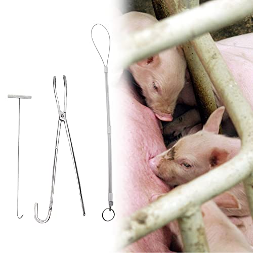 Zerodis Pig Midwifery Tools Set, Stainless Steel Veterinary Midwifery Rope Pliers Hook Pig Breeding Equipment Livestock Tool(3pcs)