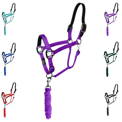 Majestic Ally Leather Halter with Matching Lead Rope for Horses – Leather Breakaway Crown - Adjustable Chin Strap – Rolled Throat Latch – Padded Noseband – Full (Purple, Full) - color: Purple, size: Full