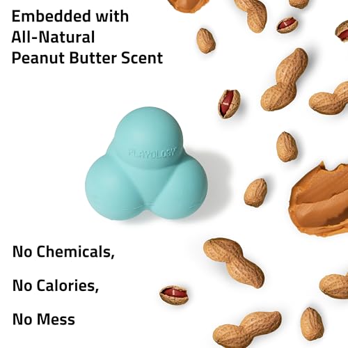 Playology Dog Toys | Squeaky Bounce Ball for Large Dogs | Peanut Butter Scented Jumbo Dog Ball for Interactive Play - style: Peanut Butter