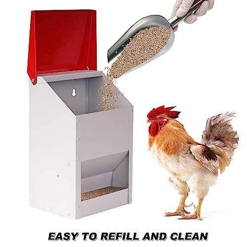 Automatic Metal Chicken Feeder Galvanized Poultry Feeder with Lid Outdoor Wall Mount Chicken Food Dispenser Gravity Fed Chicken Feeder Weatherproof No Waste Quail Duck Feeder (10LBS)