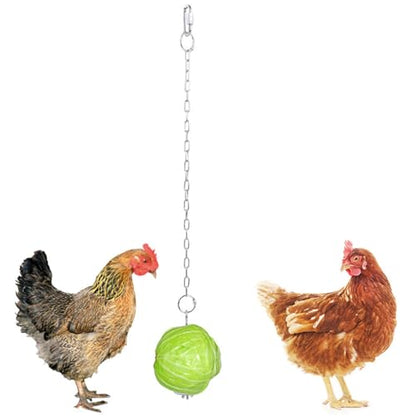 Stainless Steel Hanging Chicken Feeders with Adjustable Chain and Vegetable Skewers for Bird Cage Enrichment and Foraging Foraging Toy - size: L