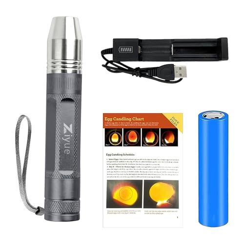 Egg Candlers for Chicken Eggs, 2026 New Egg Candling Light Tester Lamp Egg Checker Incubator for All Chickens Ducks Quail Dark Eggs 【Upgraded USB Charger】 (Grey) - color: Gray