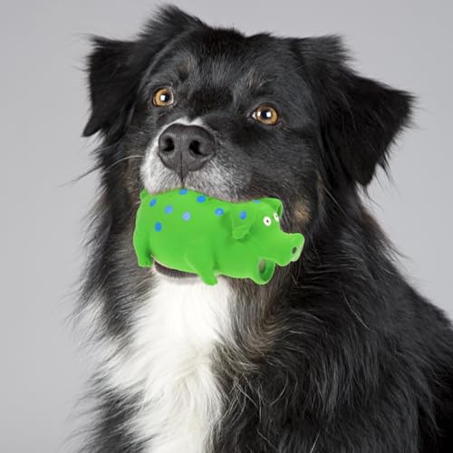 balacoo Dog Chew Toy with Grunting Sound Interactive Pig Molar Plaything Bite Resistant Pet Chew Toy for Dental Health Training 7.08X3.54X1.57In