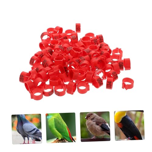 UPKOCH 100pcs Ring Packs Plastic Chicken Leg Bands for Pigeon Racing and Poultry Management - color: Red