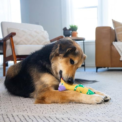 Outward Hound by Charming Pet Squawkers Grandma Hippie Chick Latex Squeaky Rubber Chicken Dog Toy, Funny Interactive Holiday Toy for Dogs, Large Size - color: Grandma Hippie Chick, size: Large