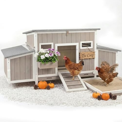 Wooden Chicken Coop, Outdoor Poultry House with Weatherproof Asphalt Roofs, Removable Tray & 2 Nesting Boxes, Ramp Door, Ventilation Windows, Chicken House for 2-4 Chickens Backyard Garden