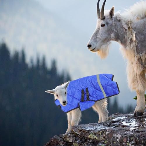 Calf Blanket Waterproof Thicken Goat Blankets Warm Adjustable for Winter 27.6x29.1 inch, Windproof Foal Blanket Folding Soft Mini Horse