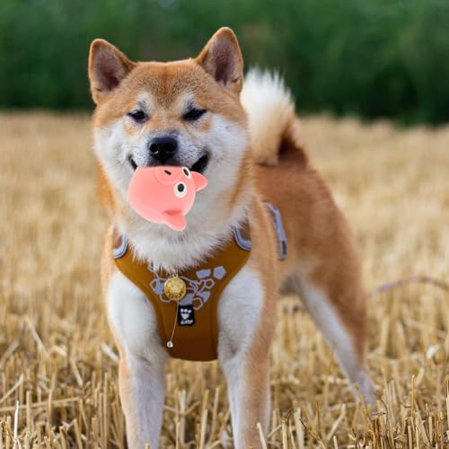 jojofuny Squeaky Pig Head Dog for Puppies and Small Dogs Interactive Chew to Strengthen Mental Stimulation and Prevent Furniture Damage Tough for Heavy Chewers Pink Cartoon Design