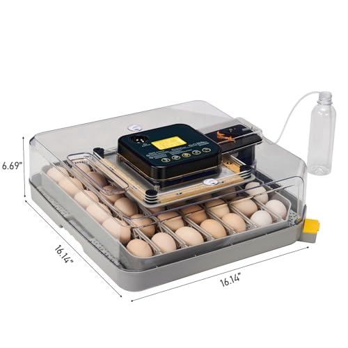 48 Chicken Egg Incubator, Automatic Egg Turner & Built-in Egg Candler, Easy-to-Read Humidity Display, Clear 360° Visibility for Home & Classroom Hatching