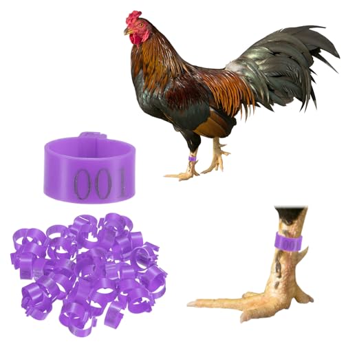M METERXITY 50-Pack Chicken Leg Bands, 16 mm Plastic Poultry Identification Chicken Leg Rings for Turkey/Duck/Goose/Chicks, Colorful Numbered Foot Clip on Tags [Purple] - color: Purple, size: 16 mm