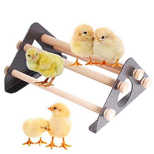 Baby Chick Perch, Durable Metal Stand with Natural Wooden Roosting Bars for coop and brooder, Training Roosting Perches for Mini Baby Chicks, Easy to Assemble, Fun Toys - color: Carbon Coating, size: Wooden Bars