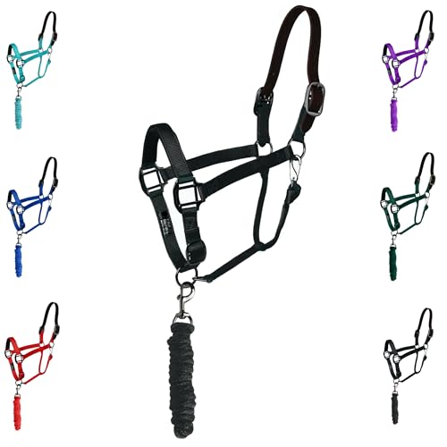 Majestic Ally Leather Halter with Matching Lead Rope for Horses – Leather Breakaway Crown - Adjustable Chin Strap – Rolled Throat Latch – Padded Noseband – Full (Black, Draft) - color: Black, size: Draft