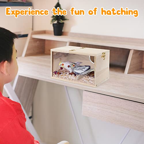 Rypet Parakeet Nesting Box Transparent Design, Thwartwise Bird Nest Breeding Box with Perch Wood Bird Cage House for Cockatiel Lovebirds Budgie Finch Parrotlets Canary L - size: Large