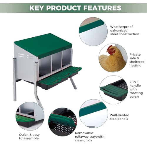 Chicken Nesting Box 3-Compartment Roll-Out with Pull-Out Trays, Egg Nesting Boxes for Hens, Chicken Coop Laying Box,Easy Wall Mounting with Metal Legs - color: green, size: 3 holes with legs
