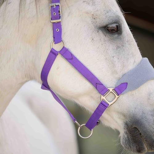 Equinavia Saga Fleece Padded Breakaway Halter - Deep Lavender/Slate Grey - Pony - color: Deep Lavender/Slate Grey, size: Pony