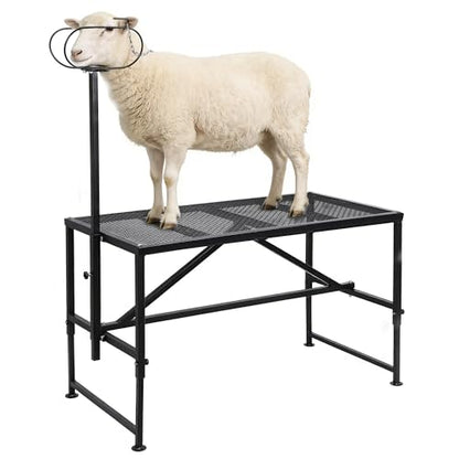 Goat Milking Stand for Trimming Hooves, 47x23" Heavy Duty Metal Sheep Stand & Livestock Shearing Platform with Headpiece, Rust-Resistant Farm Equipment for Washing, Grooming & Milking