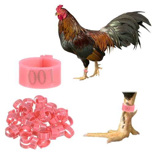 M METERXITY 50-Pack Chicken Leg Bands, 16 mm Plastic Poultry Identification Chicken Leg Rings for Turkey/Duck/Goose/Chicks, Colorful Numbered Foot Clip on Tags [Pink] - color: Pink, size: 16 mm