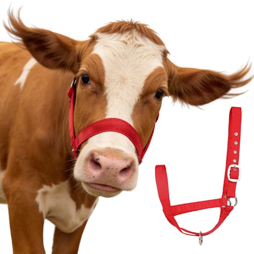 Adjustable Reinforced Nylon Calf Halter – All-Purpose, Durable Design for Cattle, Donkey, Goat, and Miniature Horse (Red, S) - color: Red, size: S(350-700lbs)