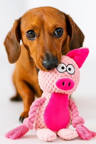Cotton Rope Squeaky Dog Toy with Crinkle Paper – Interactive Plush Chew Toy for Small & Medium Puppies, Pig Design - color: Pink
