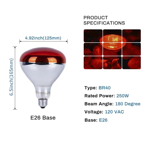 6 Pack 250W Heat Lamp Bulbs for Chicks, R40 Brooder Heat Lamp for Chickens, Infrared Reflector Heating Bulbs, Incandescent Heat for Pet, Bathroom, Food