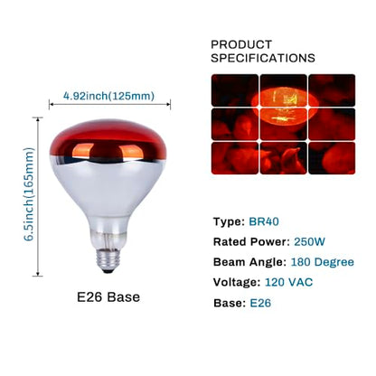 6 Pack 250W Heat Lamp Bulbs for Chicks, R40 Brooder Heat Lamp for Chickens, Infrared Reflector Heating Bulbs, Incandescent Heat for Pet, Bathroom, Food
