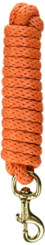 Hamilton Poly Horse Lead Rope with Bolt Snap, 10' Long x 5/8" Thick, Mango Orange, Barn Horse Tack for Daily Use - color: Mango Orange