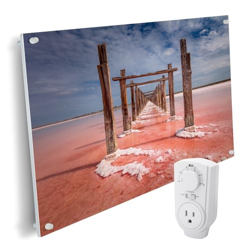 EconoHome Wall Mount Space Heater Panel - with Thermostat - 600 Watt Convection Heater - Ideal for 200 Sq Ft Room - 120V Electric Heater - color: Pink Ocean