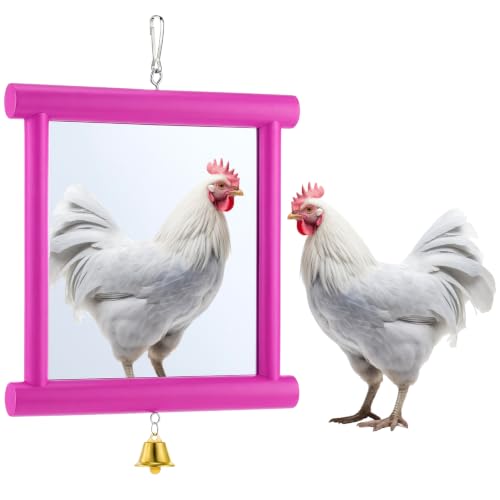 Sadnyy Extra Large Chicken Mirror Toys Hanging Swing Double Side Mirror with Bell Wooden Pecking Toy for Hens Birds Parrots Coop Roosters Enrichment Toy for Poultry(Square, Rose Red, 1pcs) - color: Rose Red, size: Square