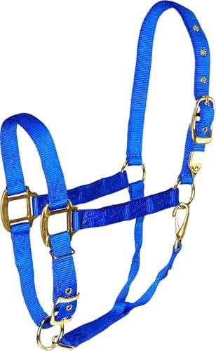 Hamilton Deluxe Horse Halter, 1" Triple Ply Nylon, Adjustable Chin Strap, Easy On/Off Throat Snap, Draft Horse, 1600+ lbs, Blue - color: Blue, size: Draft, 1600+lbs