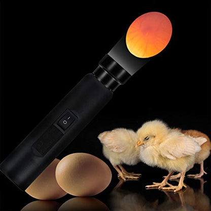 Gavigain LED Egg Candler Light Tester, Egg Tester Chicken Egg Monitoring Tester LED Incubator Light Candling Lamp Inspection US Plug 100-240V
