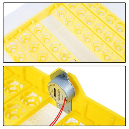 Egg Incubator Automatic Digital Hatcher Machine with Turning Temperature Control for Hatching Chicken Duck Goose Quail (48 Eggs) - size: 48 Eggs