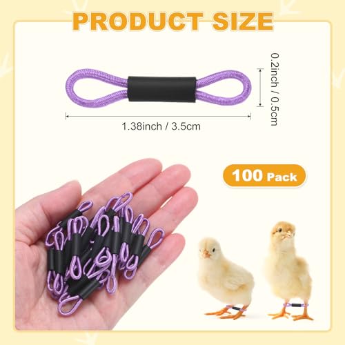 M METERXITY 100-Pack Adjustable Chick Leg Bands, 1.38" x 0.2" Polyester Chicken Leg Brace for Chicks/Ducks/Birds [Purple] Poultry Leg Bands