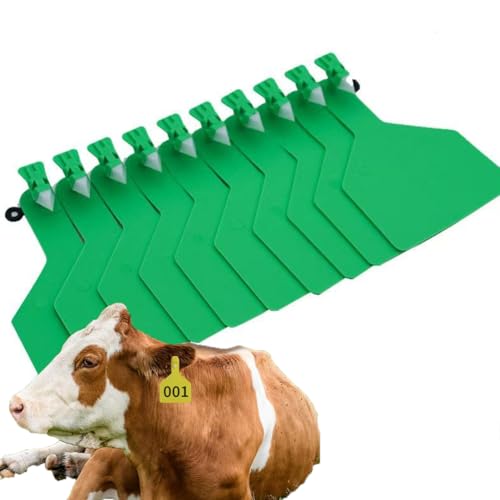 Z Tags One-Piece Cattle Ear Tags TPU Blank Livestock Animal Identification with Professional Animal Ear tag applicator for Cattle,Sheep Goat, Pig Green Blank Ear tag 100PCS - color: Green, size: Blank ear tag 100PCS
