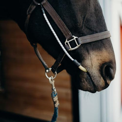 Thinline Busy Buddy - Equestrian Tack Accessories Durable Versatile Easy to Use Universal Horse Calming Pacifier Relaxation Tool with Latex Mouth Piece - style: Halter Busy Buddy