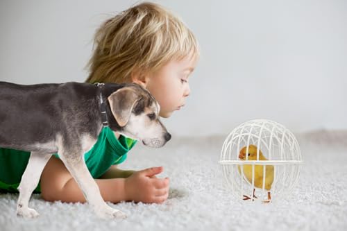 7.8" Ball-Shaped Movable Pigeon Chick Coop, Little Rabbit Duck Guinea Pig Safe Walking Net,Preventing Dog Bites, Predation by Eagles Wolves Cats Eagles, Pet Safety Cage - color: White