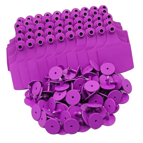 Pack of 100 Large Size Animal Identification Markers for Livestock Like Sheep Swine and Donkeys Made from Strong Blend - color: Purple