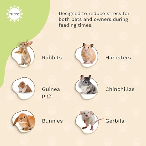 Hay and Food Feeder for Rabbit, Guinea Pig, Bunny, Chinchilla, Heavy Duty Metal Bin 5.5 x 5.5 x 7 inch (Pack of 1) - size: Pack of 1