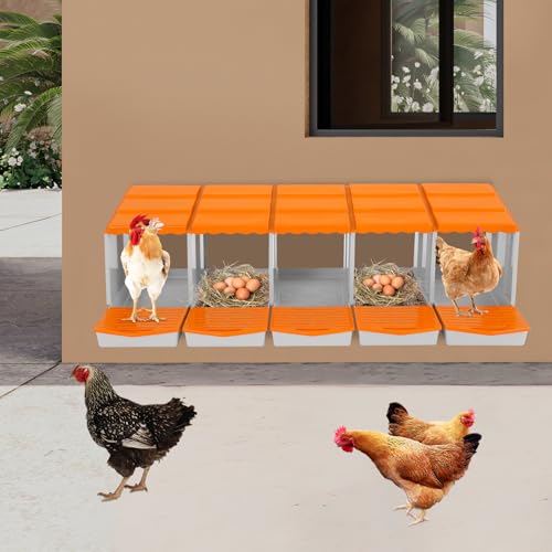 Chicken Nesting Boxes, 5 Compartment Nesting Boxes for Laying Eggs, Roll Away Nesting Box Egg Collection Tray, Wall Mount Poultry Roll Away Chicken Laying Boxes (Orange) - color: 5 Compartment Nesting Boxes (Orange)