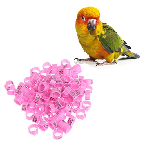 100pcs Chicken Bird Leg Rings Birds Identification Leg Bands Poultry Leg Rings 10mm for Pigeons Quail, Red - size: Red