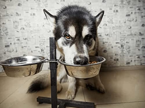 Pet Feeder Stainless Steel Dog Bowls Replacement 2-Pack Food Bowl, 7.5" Wide, 2.7" Height Water Metal Bowls for Raised Feeder with Opening 7"-7.4" - color: Double Pack, size: 5 cup (Standard)
